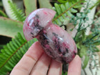 Polished Rhodonite Gemstone Mushrooms x 6 From Ambindavato, Madagascar