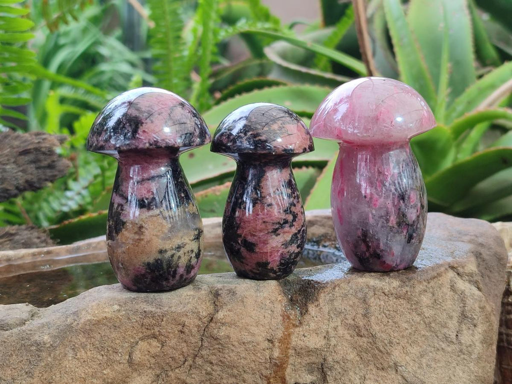 Polished Rhodonite Gemstone Mushrooms x 6 From Ambindavato, Madagascar