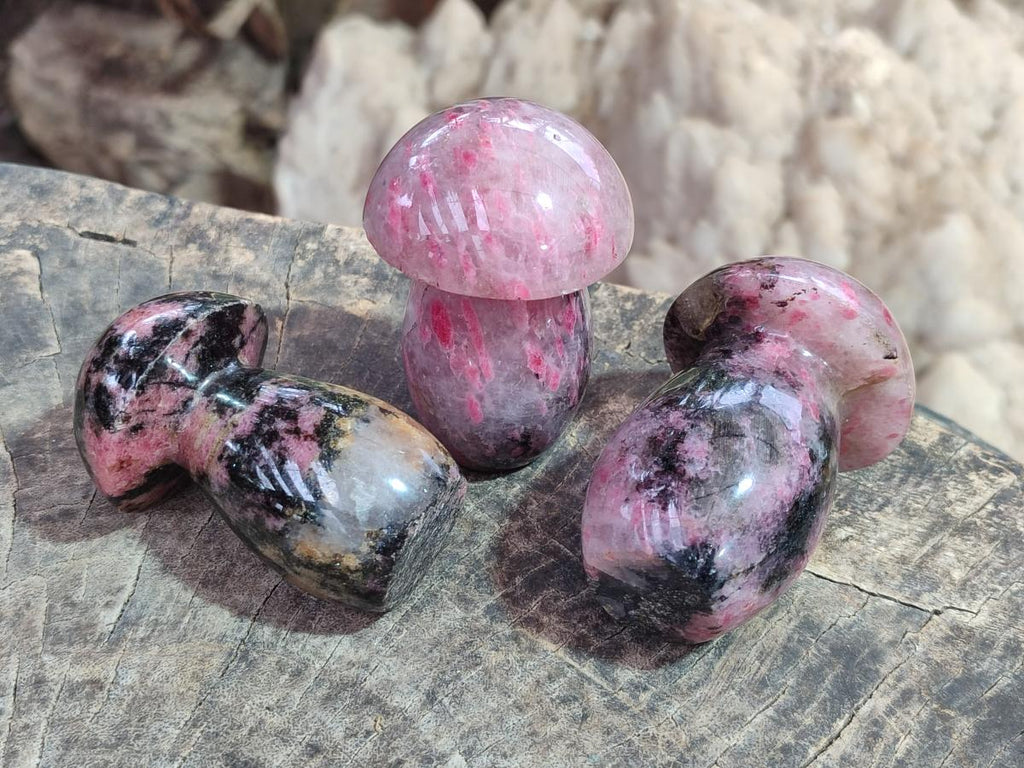 Polished Rhodonite Gemstone Mushrooms x 6 From Ambindavato, Madagascar