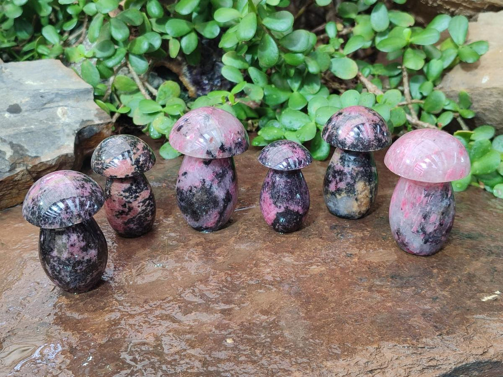 Polished Rhodonite Gemstone Mushrooms x 6 From Ambindavato, Madagascar