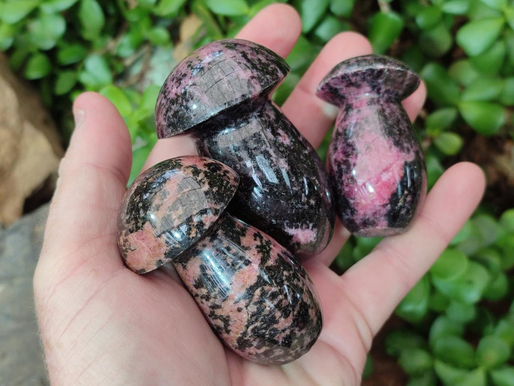 Polished Rhodonite Gemstone Mushrooms x 6 From Ambindavato, Madagascar