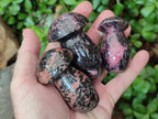 Polished Rhodonite Gemstone Mushrooms x 6 From Ambindavato, Madagascar