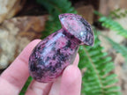 Polished Rhodonite Gemstone Mushrooms x 6 From Ambindavato, Madagascar