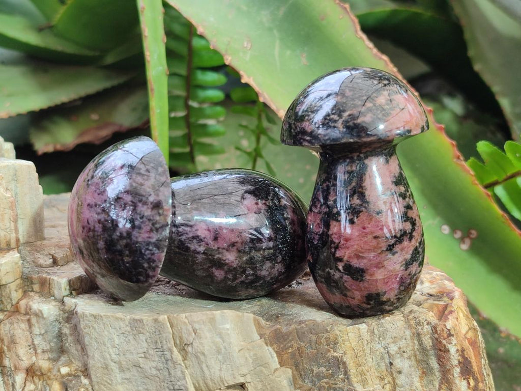 Polished Rhodonite Gemstone Mushrooms x 6 From Ambindavato, Madagascar
