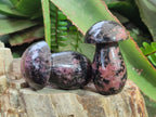 Polished Rhodonite Gemstone Mushrooms x 6 From Ambindavato, Madagascar