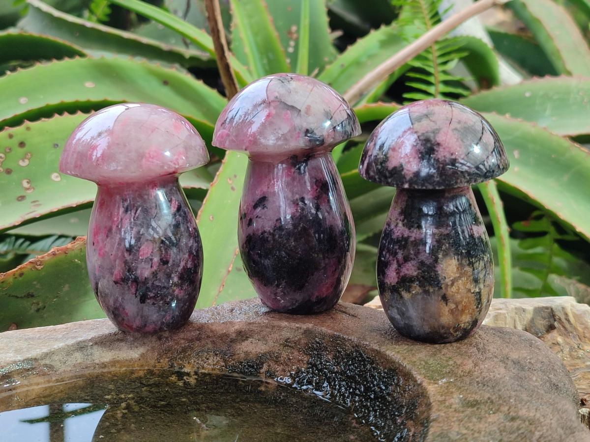 Polished Rhodonite Gemstone Mushrooms x 6 From Ambindavato, Madagascar