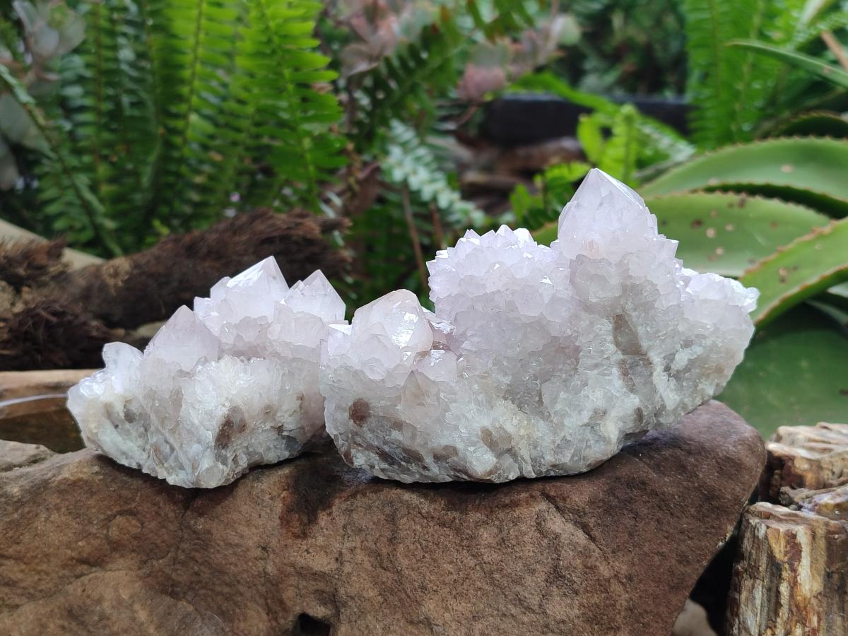 Natural Lilac Amethyst Spirit Quartz Clusters x 6 From Boekenhouthoek, South Africa