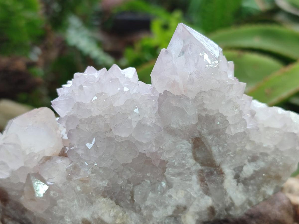 Natural Lilac Amethyst Spirit Quartz Clusters x 6 From Boekenhouthoek, South Africa