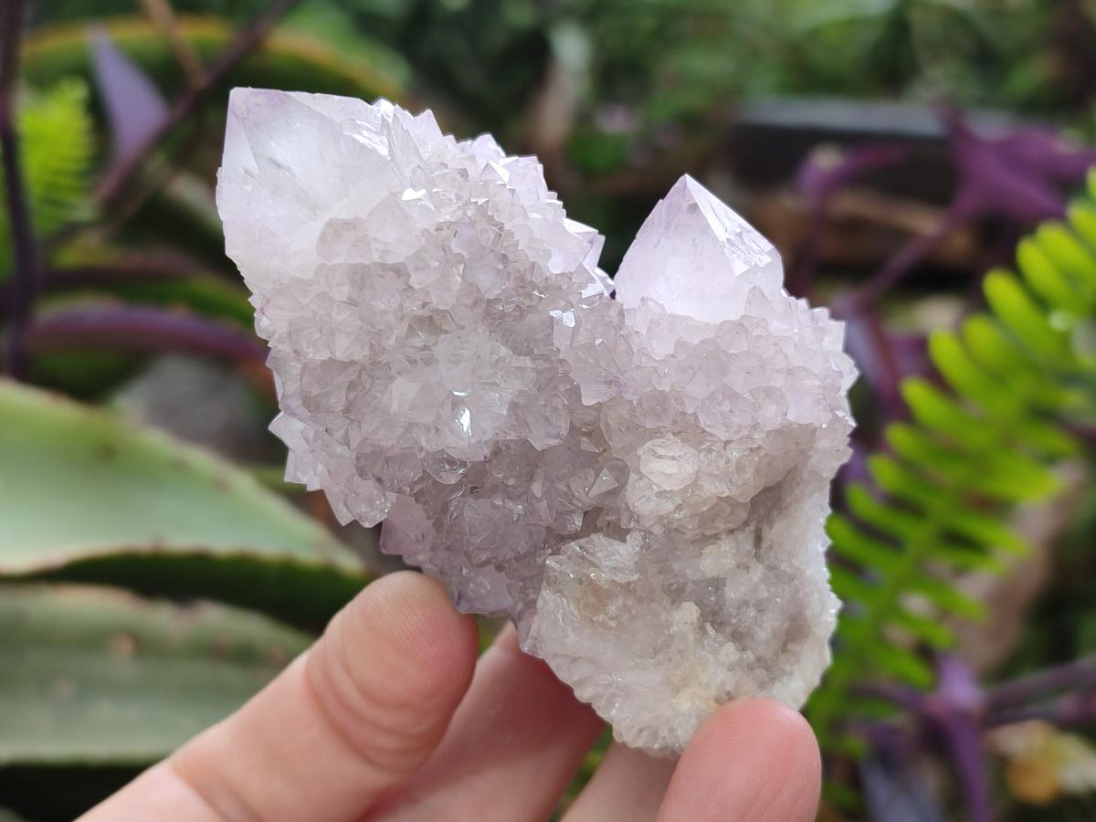 Natural Lilac Amethyst Spirit Quartz Clusters x 6 From Boekenhouthoek, South Africa