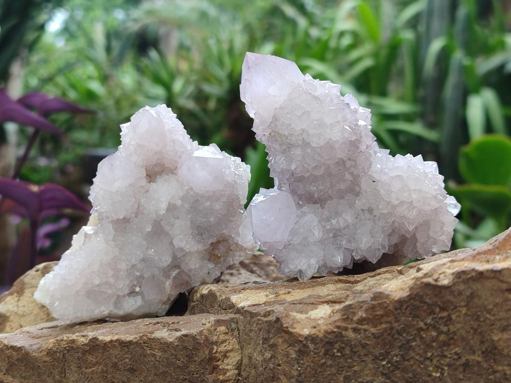 Natural Lilac Amethyst Spirit Quartz Clusters x 6 From Boekenhouthoek, South Africa