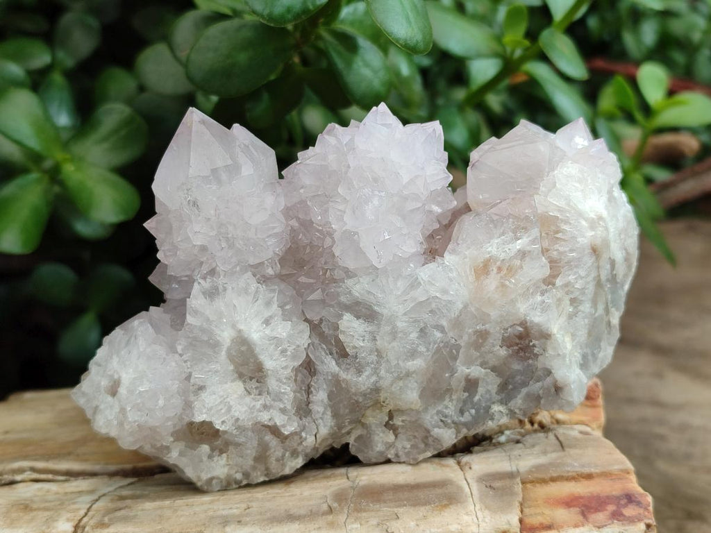 Natural Lilac Amethyst Spirit Quartz Clusters x 6 From Boekenhouthoek, South Africa