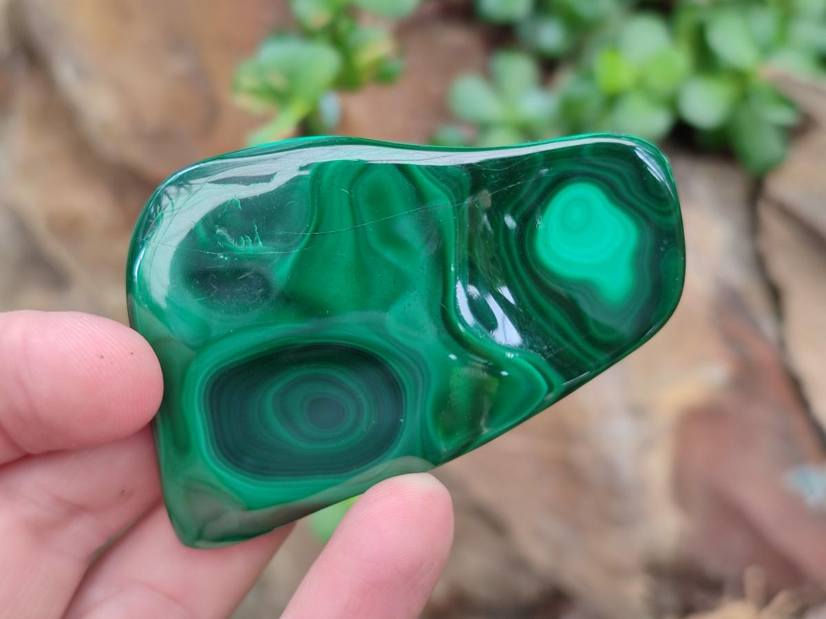 Polished and Natural Flower Banded Malachite Free Forms x 6 From Congo