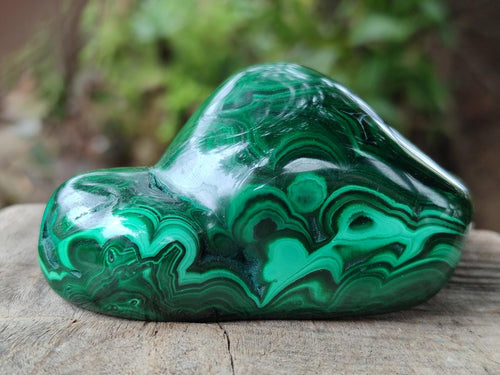 Polished and Natural Flower Banded Malachite Free Forms x 6 From Congo