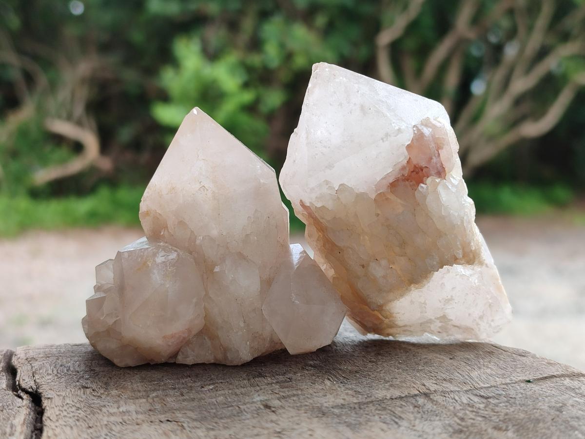 Natural Cascading Single Pineapple Quartz Crystals x 12 From Antsirabe, Madagascar