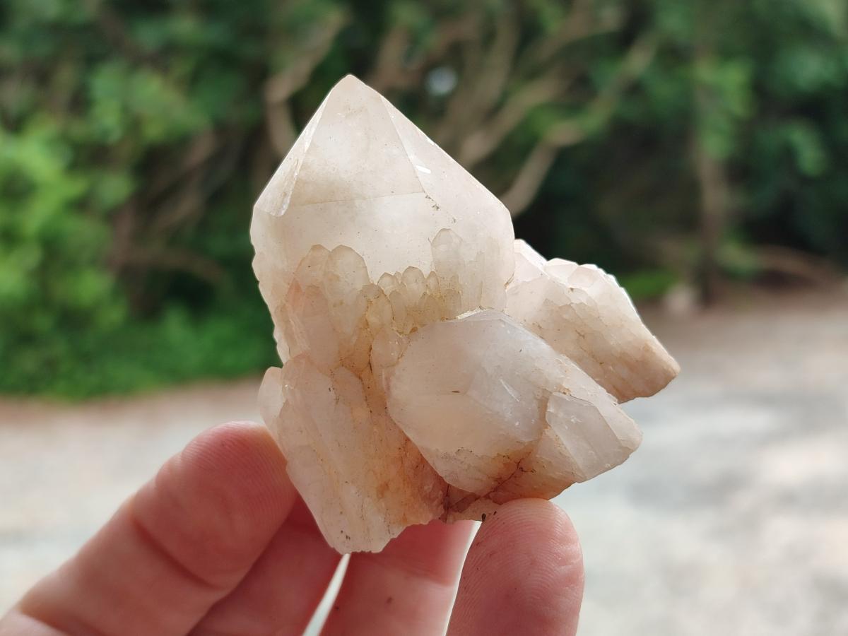 Natural Cascading Single Pineapple Quartz Crystals x 12 From Antsirabe, Madagascar