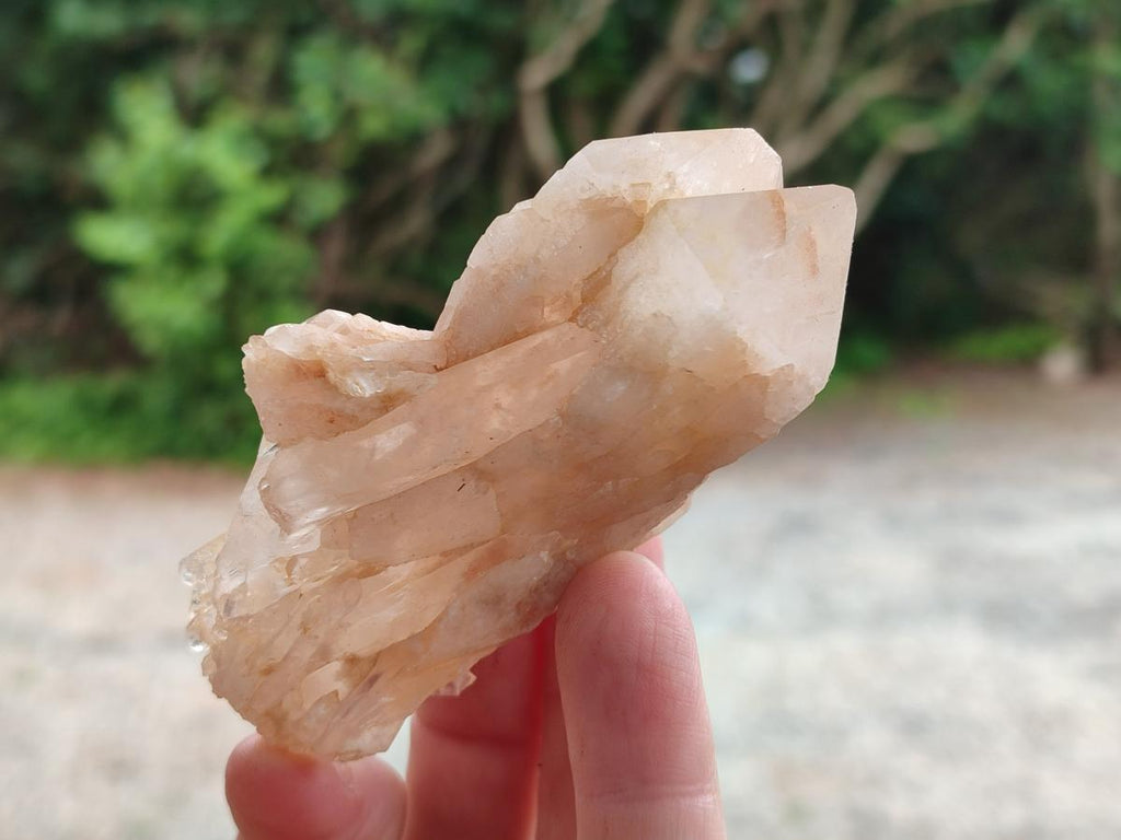 Natural Cascading Single Pineapple Quartz Crystals x 12 From Antsirabe, Madagascar