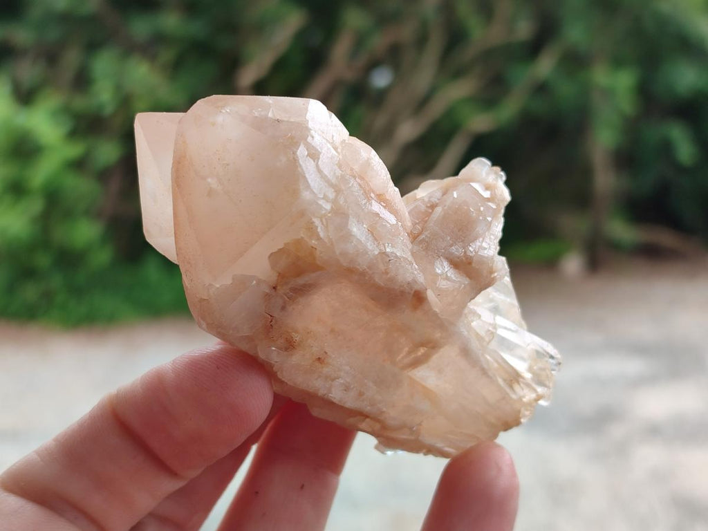 Natural Cascading Single Pineapple Quartz Crystals x 12 From Antsirabe, Madagascar