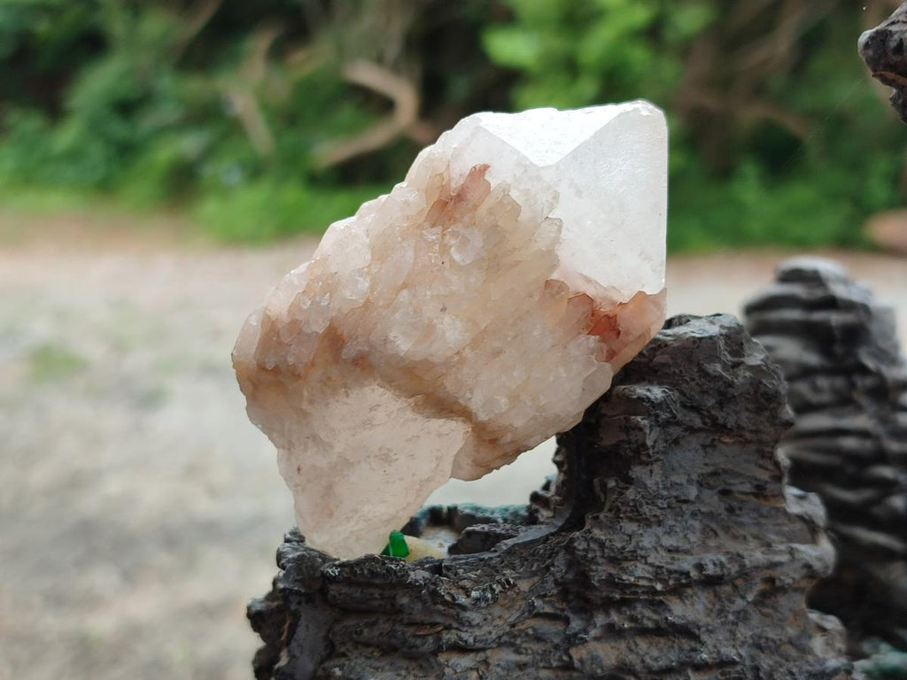 Natural Cascading Single Pineapple Quartz Crystals x 12 From Antsirabe, Madagascar
