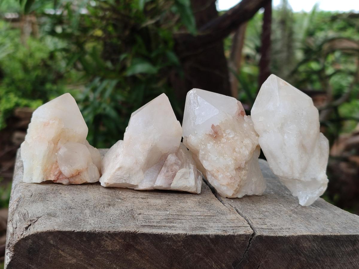 Natural Cascading Single Pineapple Quartz Crystals x 12 From Antsirabe, Madagascar
