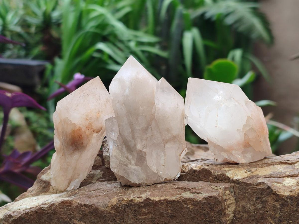 Natural Cascading Single Pineapple Quartz Crystals x 12 From Antsirabe, Madagascar