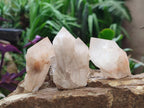 Natural Cascading Single Pineapple Quartz Crystals x 12 From Antsirabe, Madagascar