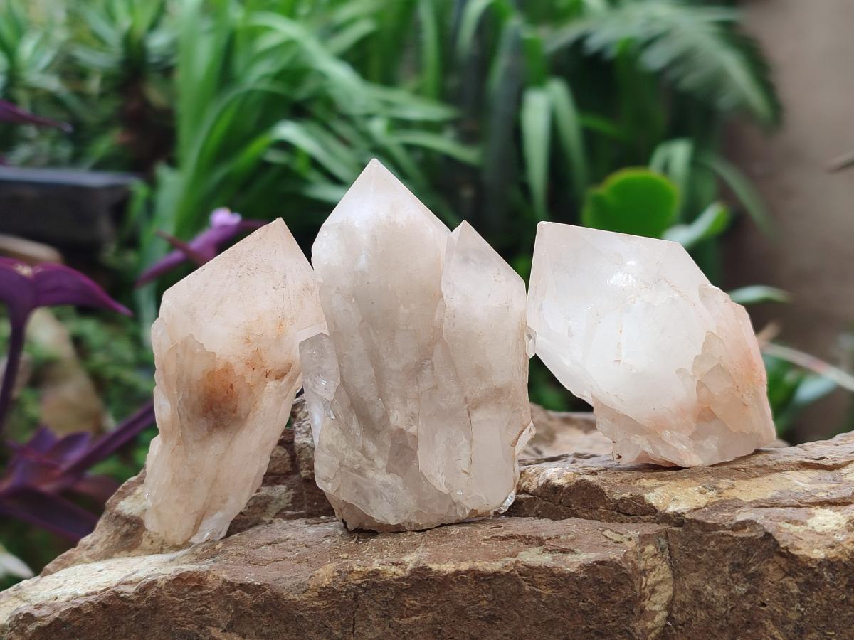 Natural Cascading Single Pineapple Quartz Crystals x 12 From Antsirabe, Madagascar
