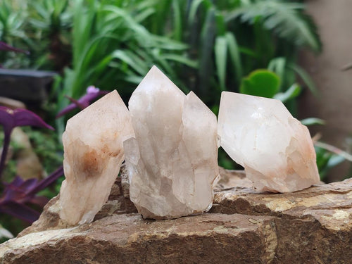 Natural Cascading Single Pineapple Quartz Crystals x 12 From Antsirabe, Madagascar