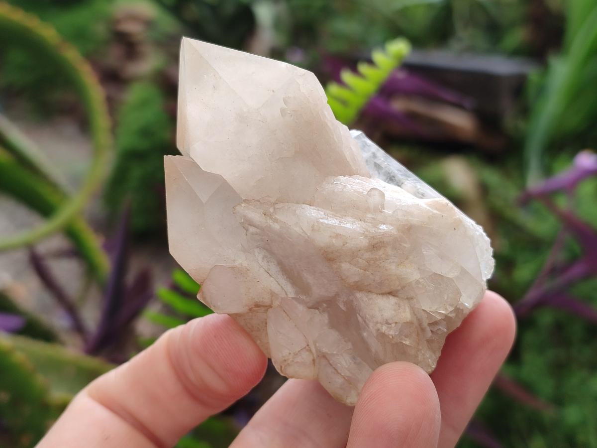 Natural Cascading Single Pineapple Quartz Crystals x 12 From Antsirabe, Madagascar