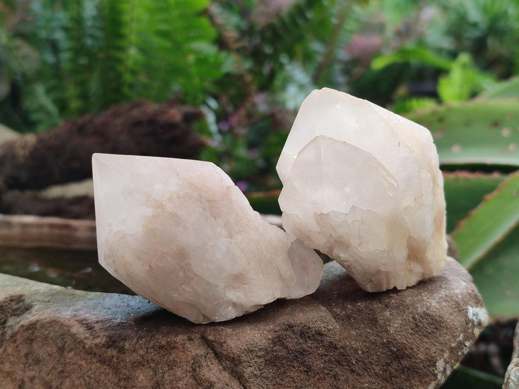 Natural Cascading Single Pineapple Quartz Crystals x 12 From Antsirabe, Madagascar