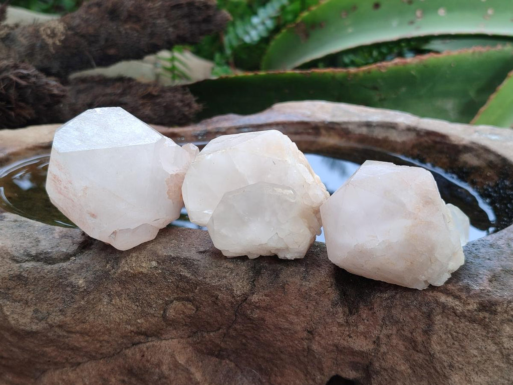 Natural Cascading Single Pineapple Quartz Crystals x 12 From Antsirabe, Madagascar