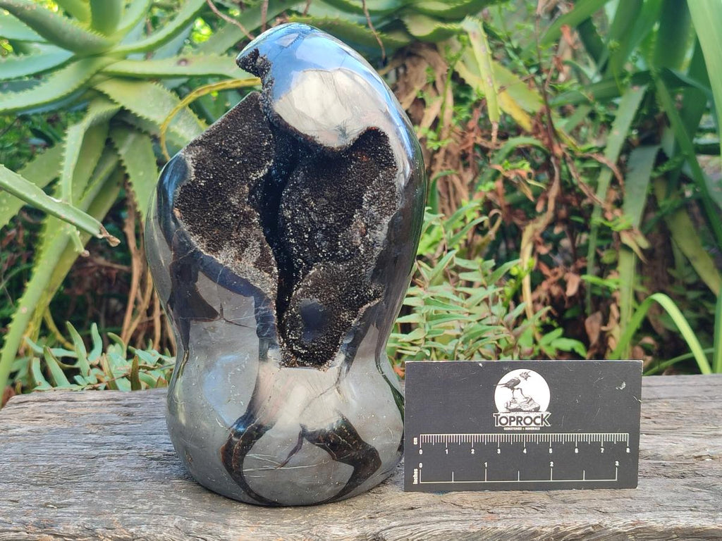 Polished and Natural Large Septerye Sauvage "Dragons Egg" Geode Standing Display Piece x 1 From Mahajanga, Madagascar