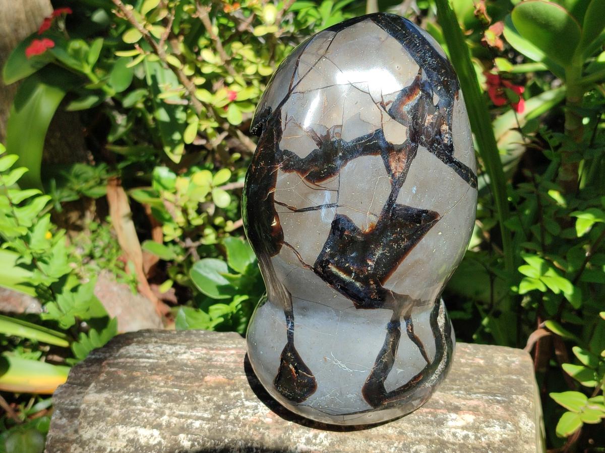 Polished and Natural Large Septerye Sauvage "Dragons Egg" Geode Standing Display Piece x 1 From Mahajanga, Madagascar