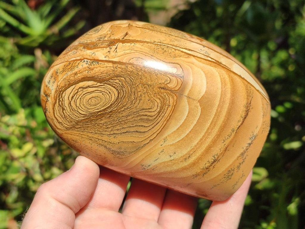 Polished Picture Stone Jasper Standing Display Pieces x 2 From Ais-Ais, Namibia
