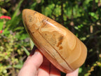 Polished Picture Stone Jasper Standing Display Pieces x 2 From Ais-Ais, Namibia
