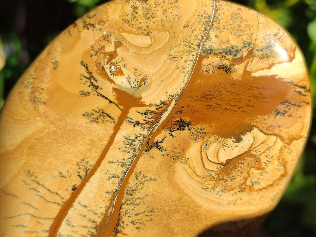 Polished Picture Stone Jasper Standing Display Pieces x 2 From Ais-Ais, Namibia