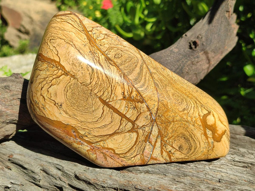 Polished Picture Stone Jasper Standing Display Pieces x 2 From Ais-Ais, Namibia