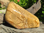 Polished Picture Stone Jasper Standing Display Pieces x 2 From Ais-Ais, Namibia