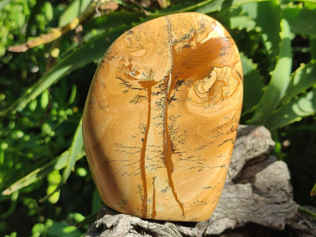 Polished Picture Stone Jasper Standing Display Pieces x 2 From Ais-Ais, Namibia