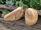 Polished Picture Stone Jasper Standing Display Pieces x 2 From Ais-Ais, Namibia