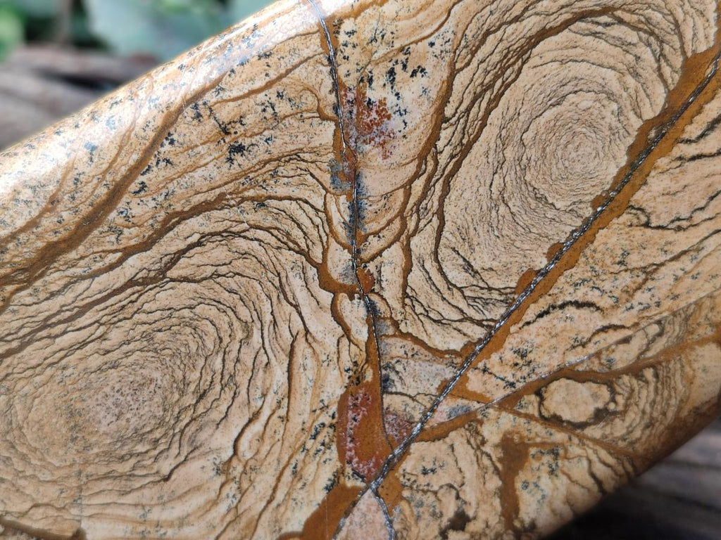 Polished Picture Stone Jasper Standing Display Pieces x 2 From Ais-Ais, Namibia