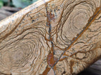 Polished Picture Stone Jasper Standing Display Pieces x 2 From Ais-Ais, Namibia