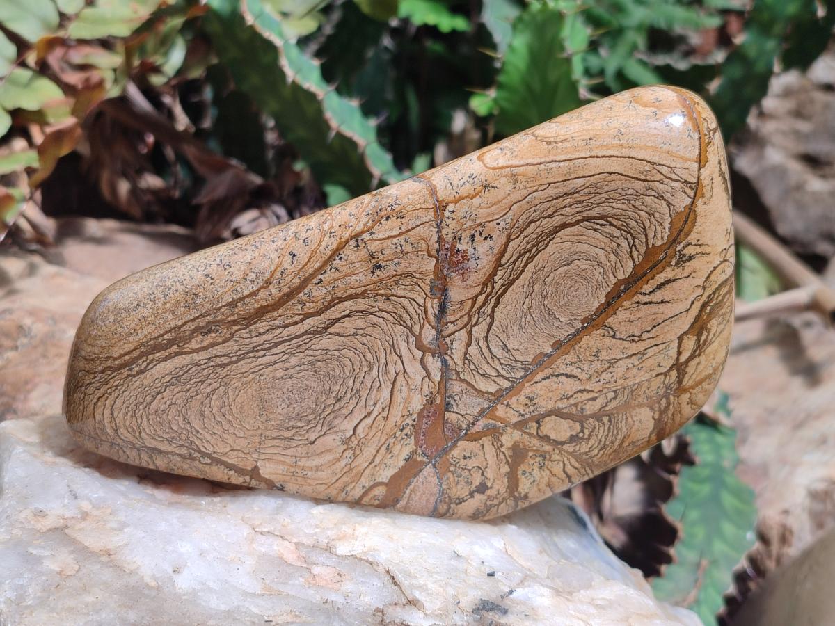 Polished Picture Stone Jasper Standing Display Pieces x 2 From Ais-Ais, Namibia