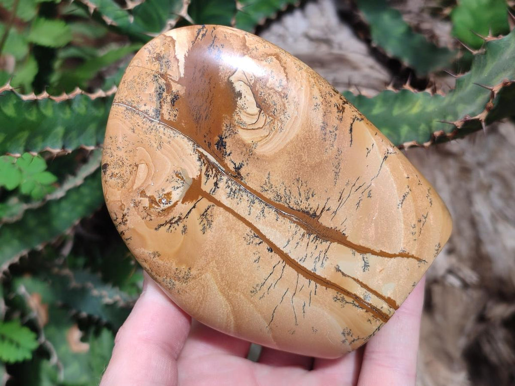 Polished Picture Stone Jasper Standing Display Pieces x 2 From Ais-Ais, Namibia