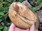 Polished Picture Stone Jasper Standing Display Pieces x 2 From Ais-Ais, Namibia
