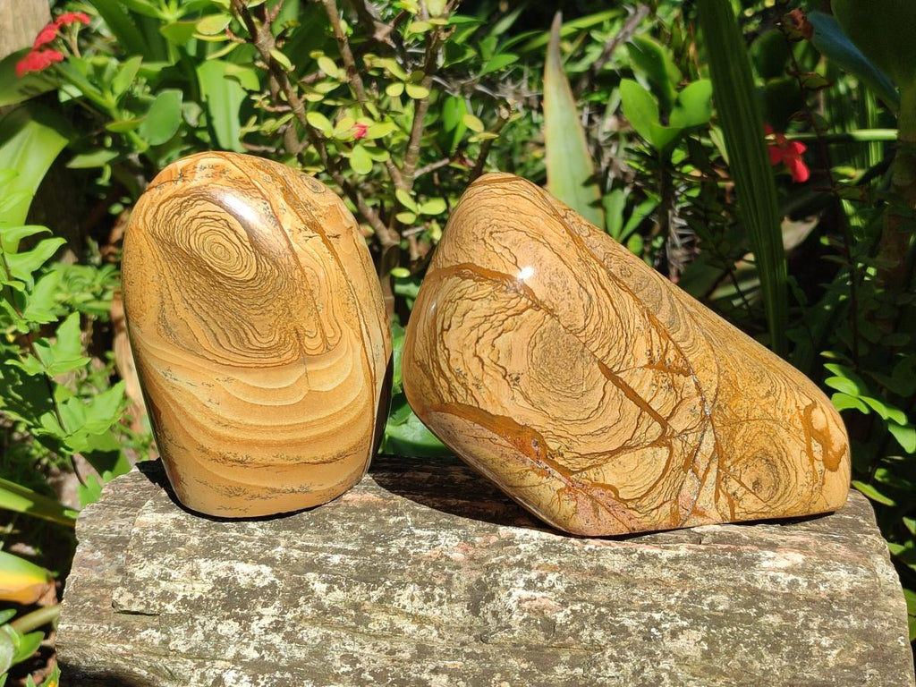 Polished Picture Stone Jasper Standing Display Pieces x 2 From Ais-Ais, Namibia
