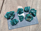 Natural Dioptase Specimens on Dolomite Matrix x 35 From Tantara Mine, Congo