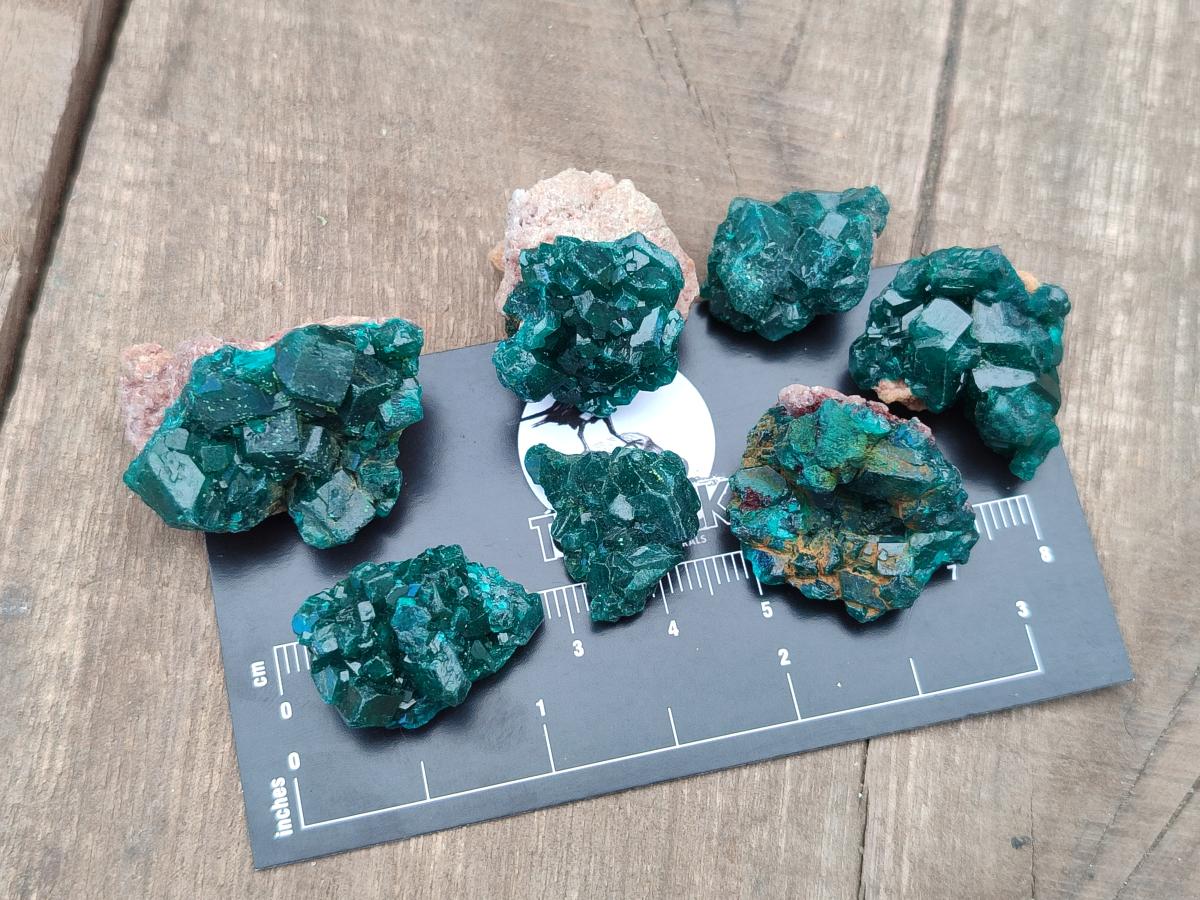 Natural Dioptase Specimens on Dolomite Matrix x 35 From Tantara Mine, Congo