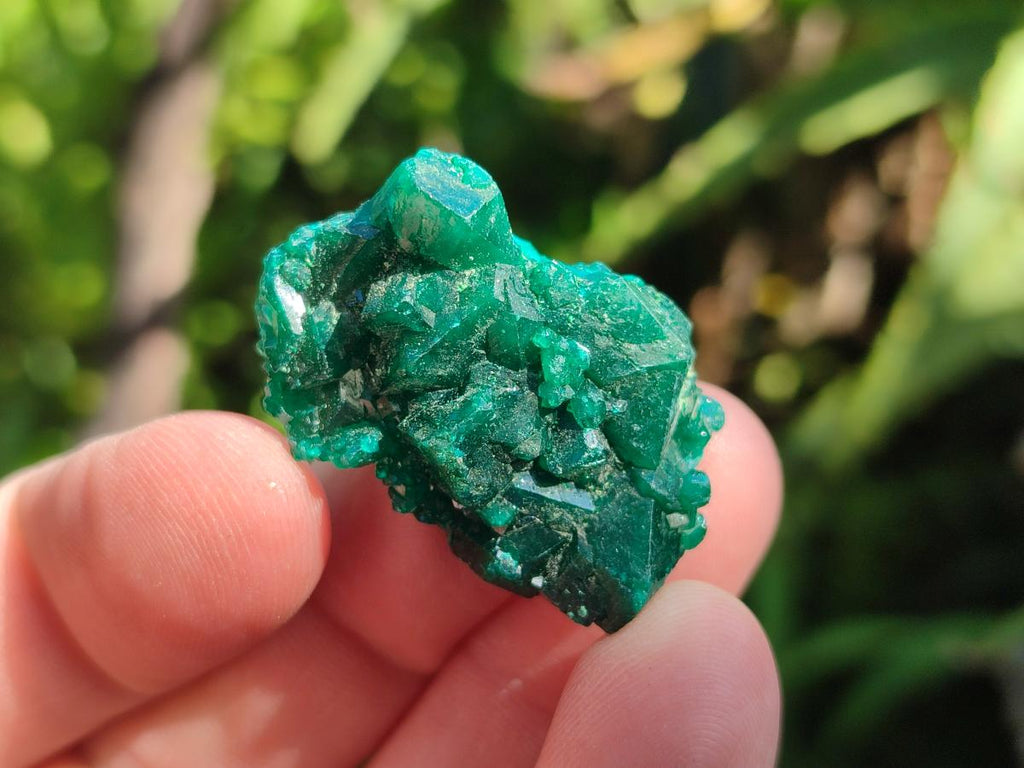 Natural Dioptase Specimens on Dolomite Matrix x 35 From Tantara Mine, Congo