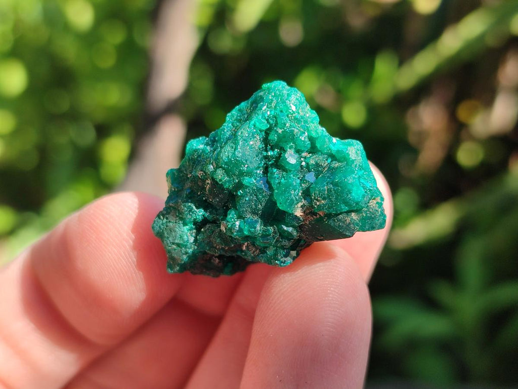 Natural Dioptase Specimens on Dolomite Matrix x 35 From Tantara Mine, Congo