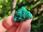 Natural Dioptase Specimens on Dolomite Matrix x 35 From Tantara Mine, Congo